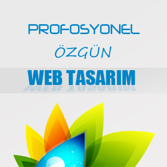 web tasarım